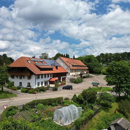 Haus Schlageter Daire Dachsberg im Schwarzwald Dış mekan fotoğraf