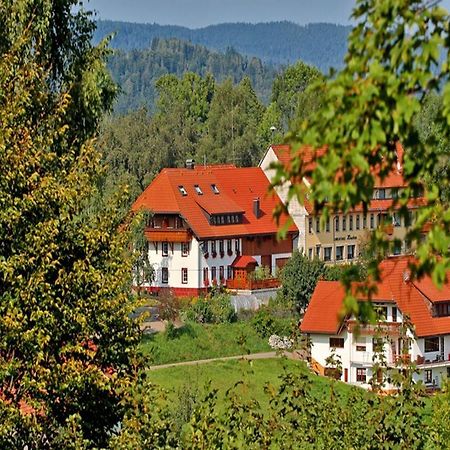 Haus Schlageter Daire Dachsberg im Schwarzwald Dış mekan fotoğraf