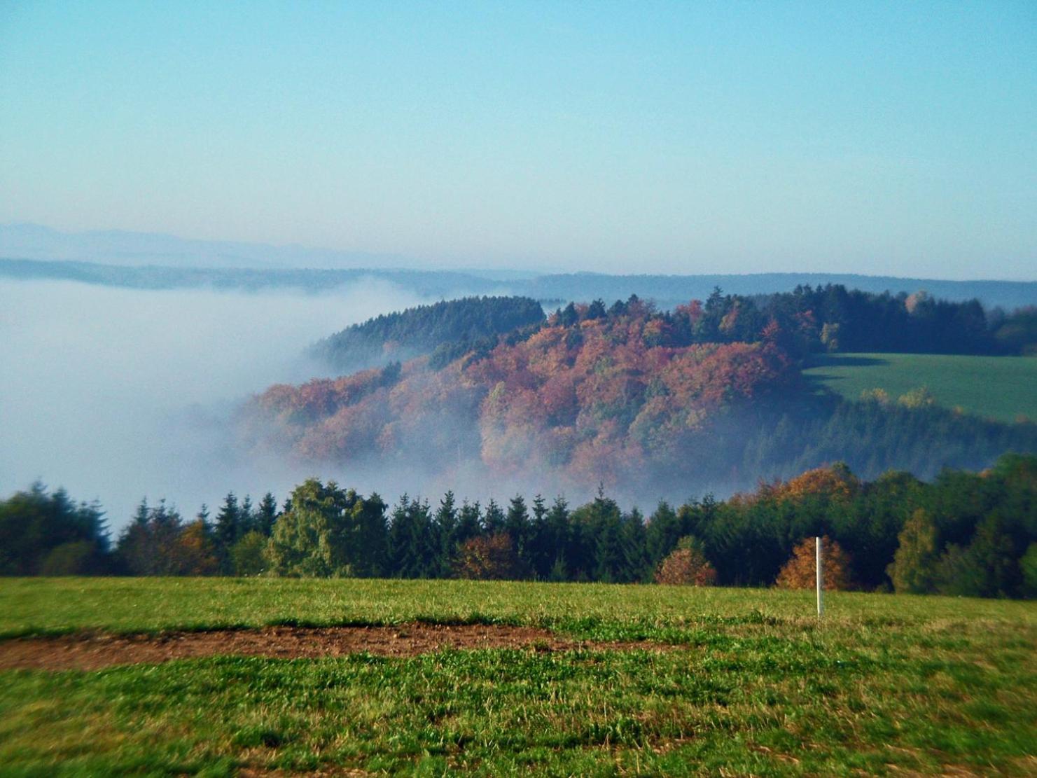 Haus Schlageter Daire Dachsberg im Schwarzwald Dış mekan fotoğraf